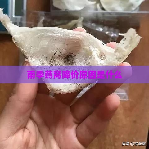 雨季燕窝降价原因是什么