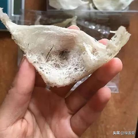 雨季燕窝降价原因是什么