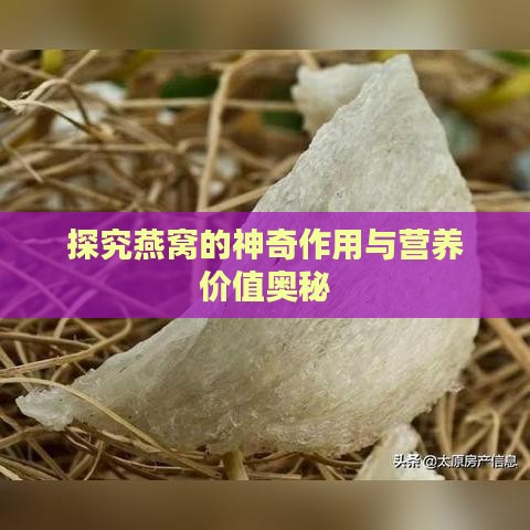 探究燕窝的神奇作用与营养价值奥秘