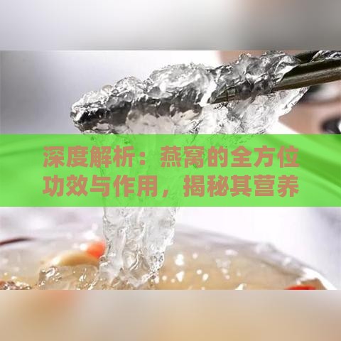 深度解析：燕窝的全方位功效与作用，揭秘其营养价值和潜在益处