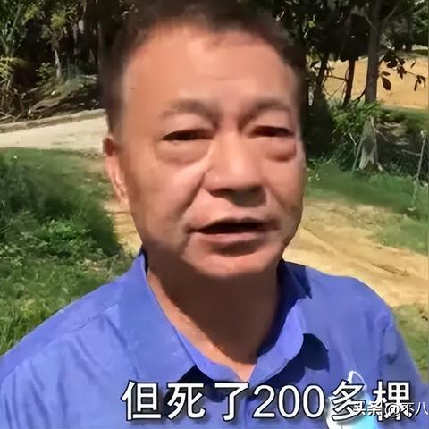 燕窝果子的食用禁忌与注意事项：哪些人群不宜食用及可能的不良反应