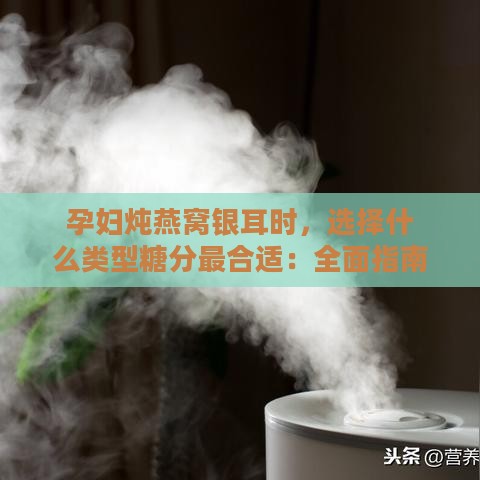 孕妇炖燕窝银耳时，选择什么类型糖分最合适：全面指南与替代方案