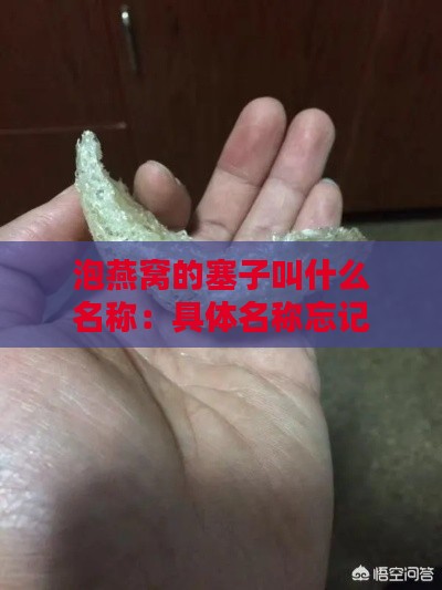 泡燕窝的塞子叫什么名称：具体名称忘记了，求解答。