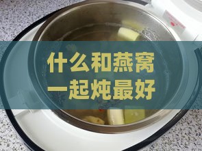 什么和燕窝一起炖更好：搭配食材推荐与美味炖法探究