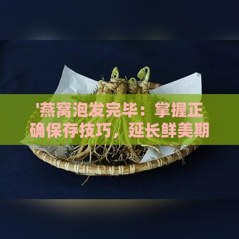 '燕窝泡发完毕：掌握正确保存技巧，延长鲜美期限'