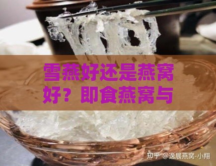 雪燕好还是燕窝好？即食燕窝与干燕窝、鲜炖燕窝哪个更佳？