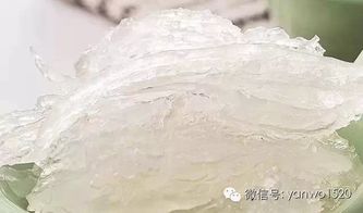 '雪燕与燕窝的营养对比：区别及哪个更具滋养价值'