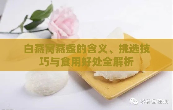 白燕窝燕盏的含义、挑选技巧与食用好处全解析