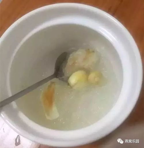 燕窝炖到什么程度算好：炖燕窝的更佳温度与程度判定