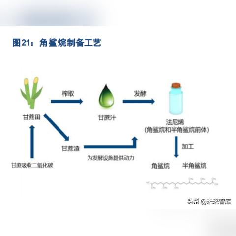 '揭秘燕窝中高效抗氧化成分，提升肌肤光泽的秘密武器'