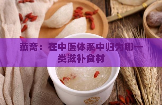 燕窝：在中医体系中归为哪一类滋补食材