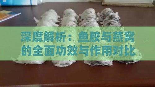 深度解析：鱼胶与燕窝的全面功效与作用对比分析