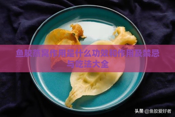 鱼胶燕窝作用是什么功效和作用及禁忌与吃法大全