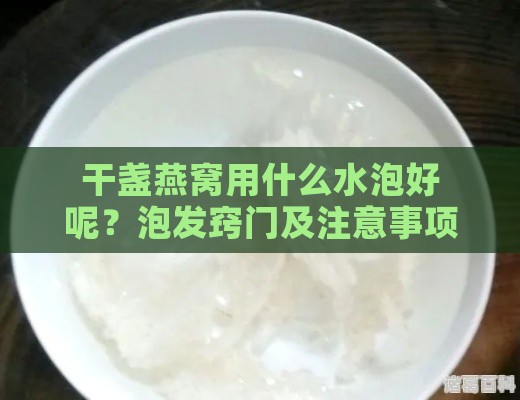 干盏燕窝用什么水泡好呢？泡发窍门及注意事项