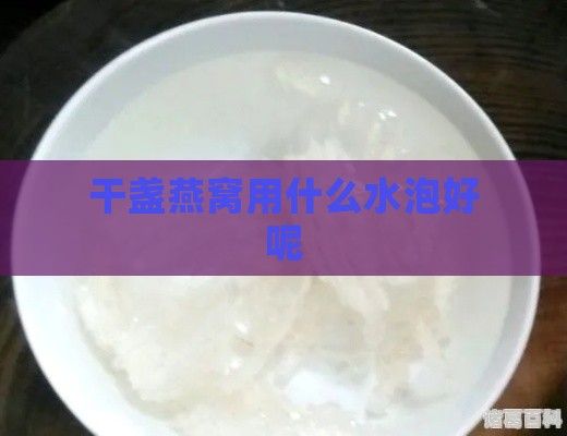 干盏燕窝用什么水泡好呢