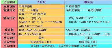 揭秘燕窝中常见的酸性物质及其含量：全面解析燕窝成分与营养价值