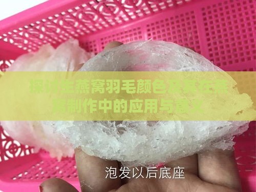 探讨生燕窝羽毛颜色及其在燕窝制作中的应用与意义