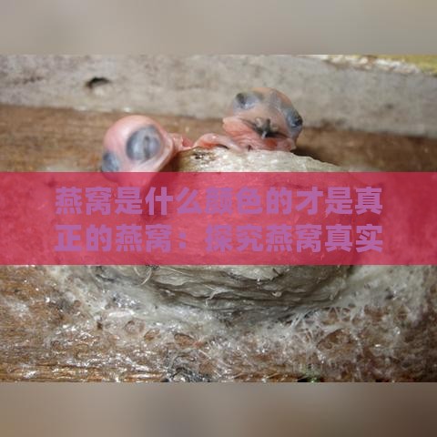 燕窝是什么颜色的才是真正的燕窝：探究燕窝真实颜色特征