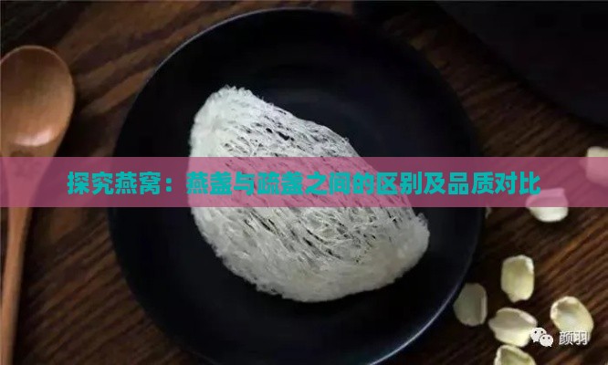 探究燕窝：燕盏与疏盏之间的区别及品质对比