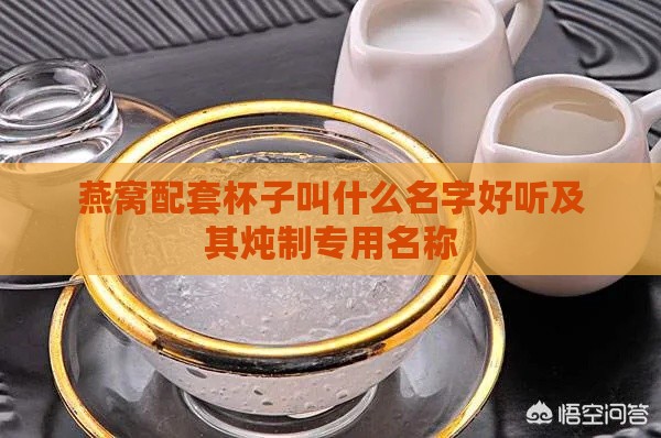 燕窝配套杯子叫什么名字好听及其炖制专用名称