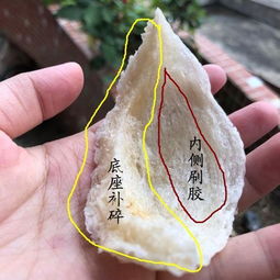 燕窝挑选指南：如何鉴别真伪与去除羽毛杂质