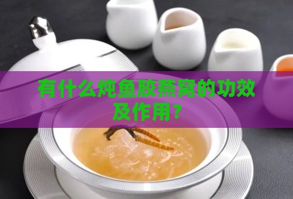 有什么炖鱼胶燕窝的功效及作用？