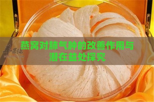 燕窝对肺气肿的改善作用与潜在益处探究