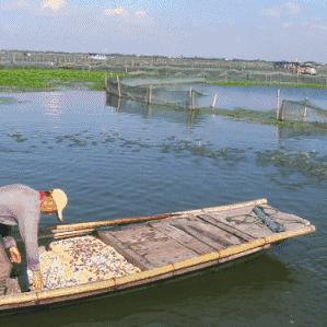 燕窝泡好什么样才算泡好，及选择浸泡的更佳水质方法