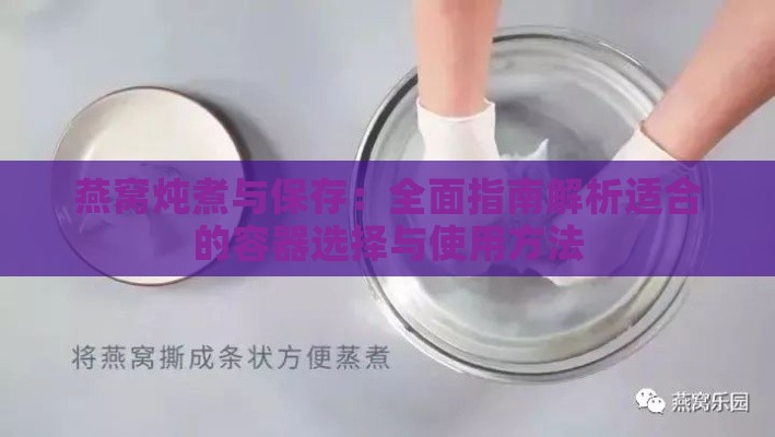 燕窝炖煮与保存：全面指南解析适合的容器选择与使用方法