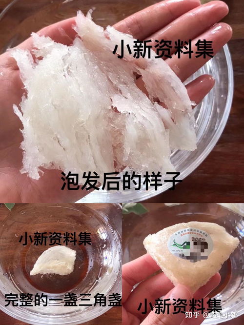 精品燕窝用什么泡更好呢