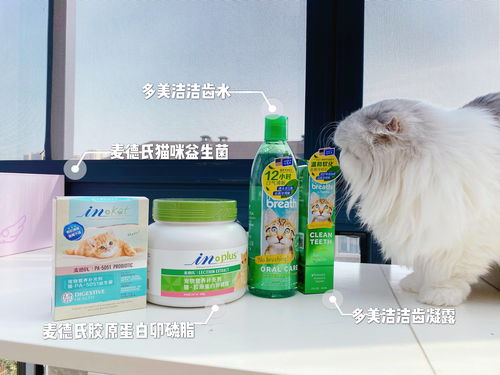 探究燕窝酸对猫咪健康的影响：益处、潜在风险及饲养中的正确应用