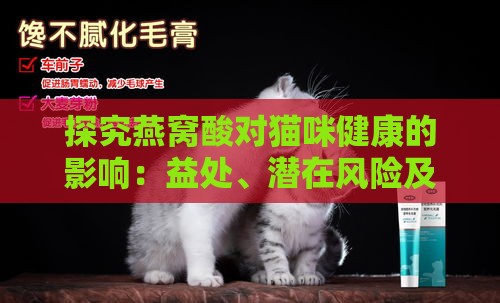 探究燕窝酸对猫咪健康的影响：益处、潜在风险及饲养中的正确应用