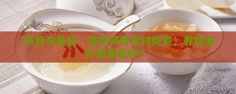 '燕窝与鱼胶：搭配何种食材炖煮，养颜滋补效果更佳？'