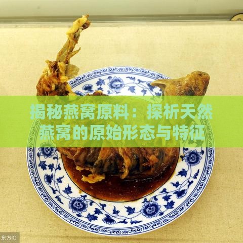 揭秘燕窝原料：探析天然燕窝的原始形态与特征