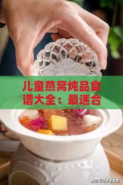 儿童燕窝炖品食谱大全：最适合小孩的营养搭配与炖煮指南