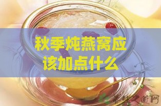 秋季炖燕窝应该加点什么