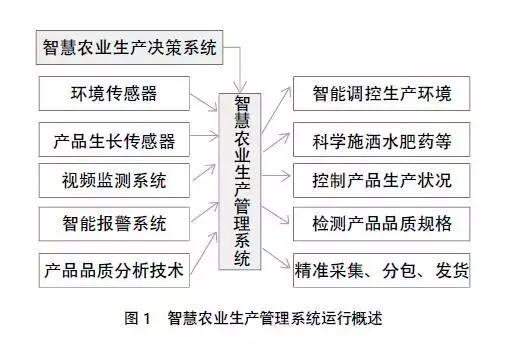 燕窝被麻雀侵占：全面应对策略与解决方案