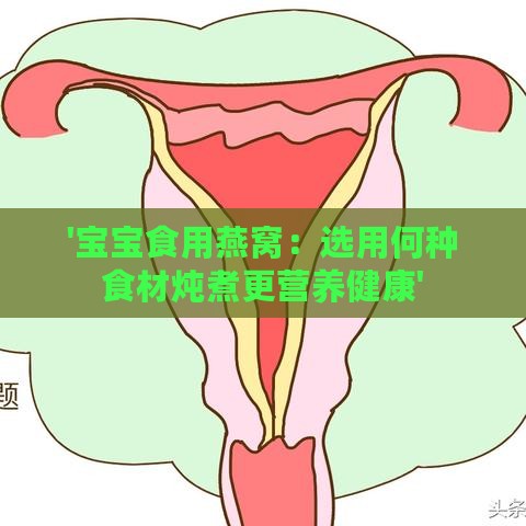 '宝宝食用燕窝：选用何种食材炖煮更营养健康'