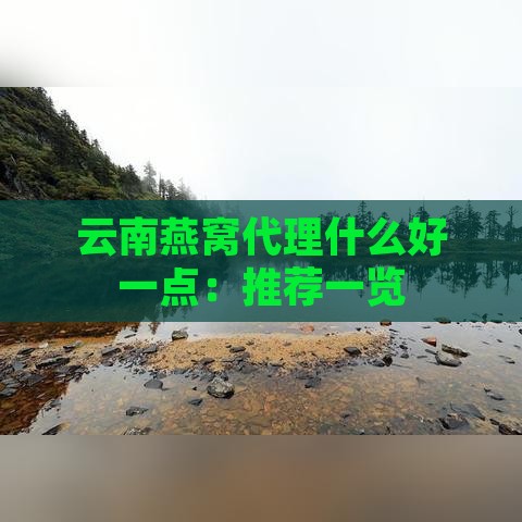 云南燕窝代理什么好一点：推荐一览