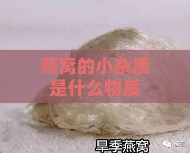 燕窝的小杂质是什么物质