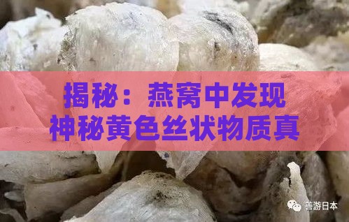 揭秘：燕窝中发现神秘黄色丝状物质真相