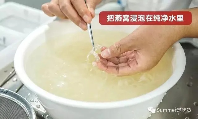 揭秘燕窝制作工艺：探索燕窝口水提取的精细流程