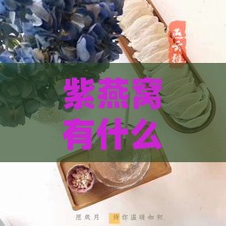 紫燕窝有什么功效和禁忌