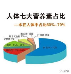 燕窝营养成分详析及其健康益处与实用功效全解析