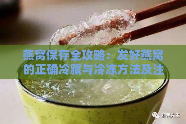 燕窝保存全攻略：发好燕窝的正确冷藏与冷冻方法及注意事项