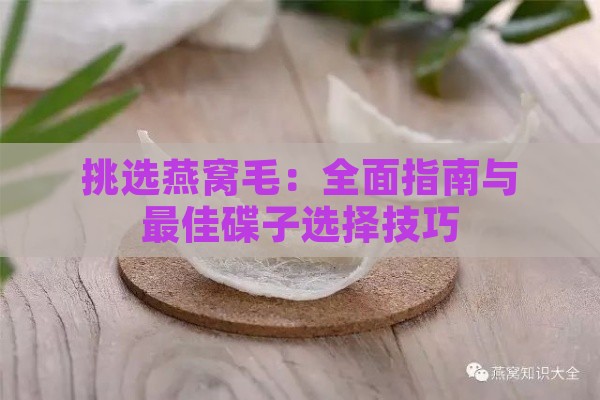 挑选燕窝毛：全面指南与更佳碟子选择技巧