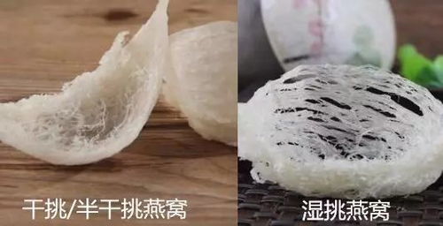 好看的燕窝是什么品质的食物：揭秘其外观与品质的关系