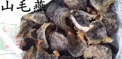 揭秘：高品质燕窝的五大特征与鉴别方法