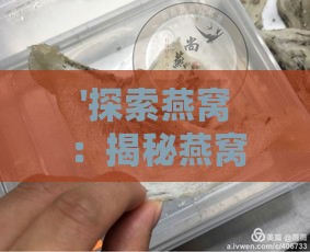 '探索燕窝：揭秘燕窝提炼背后的珍稀成分与制作工艺'