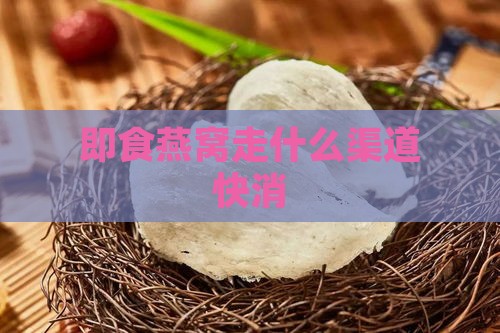 即食燕窝走什么渠道快消